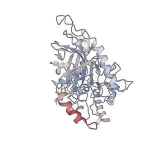 23570_7lxd_F_v1-1
Structure of yeast DNA Polymerase Zeta (apo)
