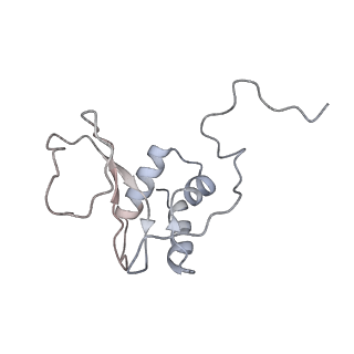 23570_7lxd_G_v1-1
Structure of yeast DNA Polymerase Zeta (apo)