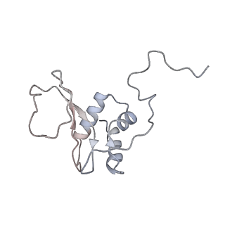 23570_7lxd_G_v1-2
Structure of yeast DNA Polymerase Zeta (apo)