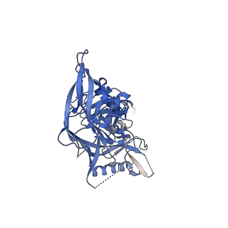 23571_7lxm_C_v1-1
Cryo-EM structure of ConM SOSIP.v7 (ConM) in complex with bNAb PGT122