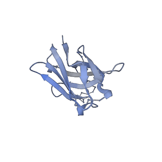23571_7lxm_H_v1-1
Cryo-EM structure of ConM SOSIP.v7 (ConM) in complex with bNAb PGT122