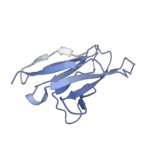 23571_7lxm_M_v1-1
Cryo-EM structure of ConM SOSIP.v7 (ConM) in complex with bNAb PGT122