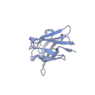23571_7lxm_P_v1-1
Cryo-EM structure of ConM SOSIP.v7 (ConM) in complex with bNAb PGT122