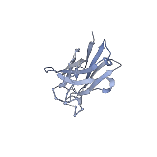 23572_7lxn_H_v1-1
Cryo-EM structure of EDC-crosslinked ConM SOSIP.v7 (ConM-EDC) in complex with bNAb PGT122