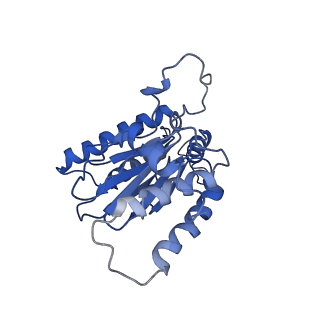 23574_7lxt_A_v1-1
Structure of Plasmodium falciparum 20S proteasome with bound bortezomib