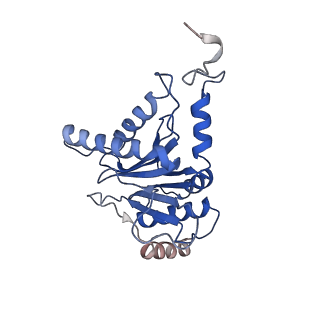 23574_7lxt_C_v1-1
Structure of Plasmodium falciparum 20S proteasome with bound bortezomib