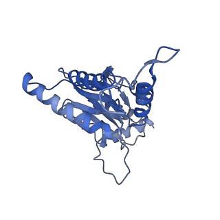 23574_7lxt_D_v1-1
Structure of Plasmodium falciparum 20S proteasome with bound bortezomib