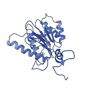 23574_7lxt_E_v1-1
Structure of Plasmodium falciparum 20S proteasome with bound bortezomib