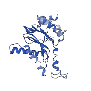 23574_7lxt_F_v1-1
Structure of Plasmodium falciparum 20S proteasome with bound bortezomib