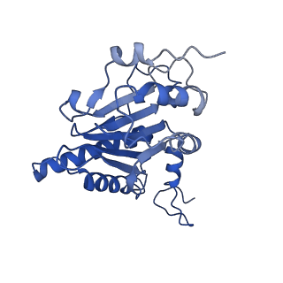23574_7lxt_G_v1-1
Structure of Plasmodium falciparum 20S proteasome with bound bortezomib