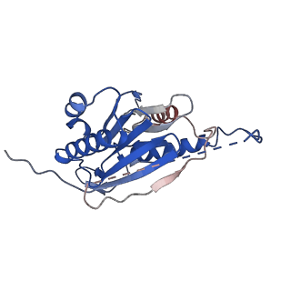 23574_7lxt_H_v1-1
Structure of Plasmodium falciparum 20S proteasome with bound bortezomib