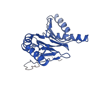 23574_7lxt_I_v1-1
Structure of Plasmodium falciparum 20S proteasome with bound bortezomib
