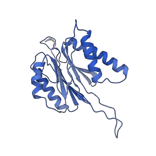23574_7lxt_J_v1-1
Structure of Plasmodium falciparum 20S proteasome with bound bortezomib