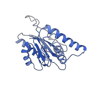 23574_7lxt_K_v1-1
Structure of Plasmodium falciparum 20S proteasome with bound bortezomib