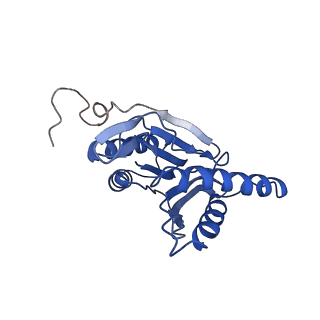23574_7lxt_L_v1-1
Structure of Plasmodium falciparum 20S proteasome with bound bortezomib