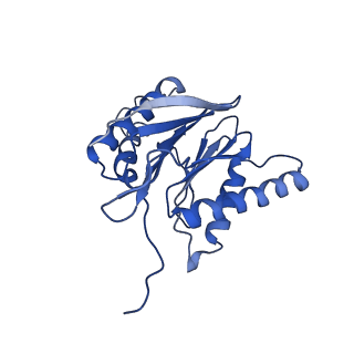 23574_7lxt_M_v1-1
Structure of Plasmodium falciparum 20S proteasome with bound bortezomib