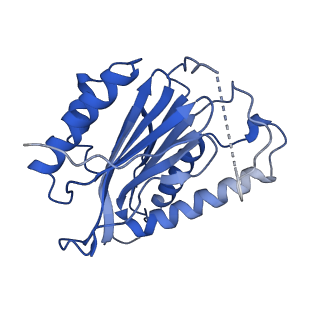 23574_7lxt_N_v1-1
Structure of Plasmodium falciparum 20S proteasome with bound bortezomib