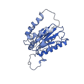 23574_7lxt_O_v1-1
Structure of Plasmodium falciparum 20S proteasome with bound bortezomib