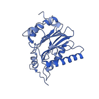23574_7lxt_P_v1-1
Structure of Plasmodium falciparum 20S proteasome with bound bortezomib