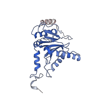 23574_7lxt_Q_v1-1
Structure of Plasmodium falciparum 20S proteasome with bound bortezomib
