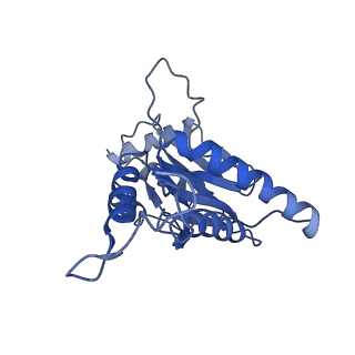 23574_7lxt_R_v1-1
Structure of Plasmodium falciparum 20S proteasome with bound bortezomib