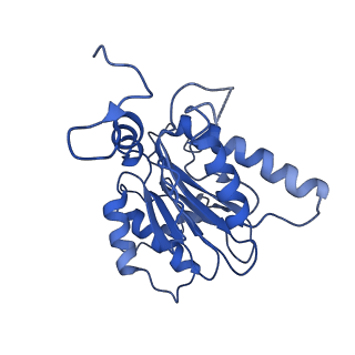 23574_7lxt_S_v1-1
Structure of Plasmodium falciparum 20S proteasome with bound bortezomib