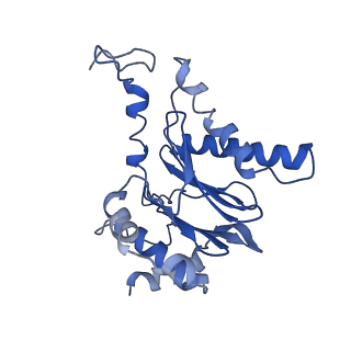 23574_7lxt_T_v1-1
Structure of Plasmodium falciparum 20S proteasome with bound bortezomib