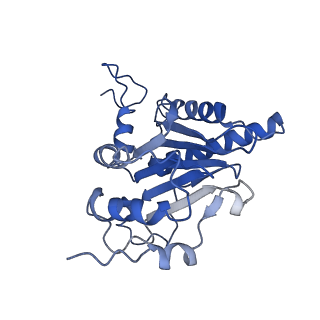 23574_7lxt_U_v1-1
Structure of Plasmodium falciparum 20S proteasome with bound bortezomib