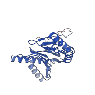 23574_7lxt_W_v1-1
Structure of Plasmodium falciparum 20S proteasome with bound bortezomib