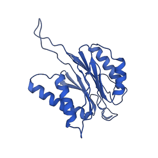 23574_7lxt_X_v1-1
Structure of Plasmodium falciparum 20S proteasome with bound bortezomib