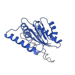 23574_7lxt_Y_v1-1
Structure of Plasmodium falciparum 20S proteasome with bound bortezomib