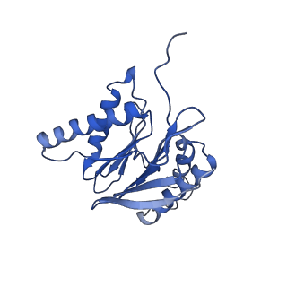 23574_7lxt_a_v1-1
Structure of Plasmodium falciparum 20S proteasome with bound bortezomib