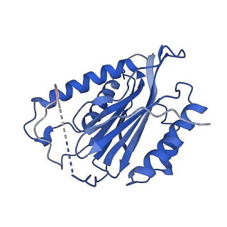 23574_7lxt_b_v1-1
Structure of Plasmodium falciparum 20S proteasome with bound bortezomib