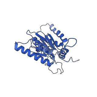 23575_7lxu_A_v1-1
Structure of Plasmodium falciparum 20S proteasome with bound MPI-5