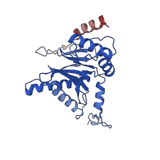 23575_7lxu_C_v1-1
Structure of Plasmodium falciparum 20S proteasome with bound MPI-5