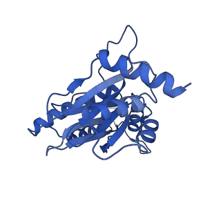 23575_7lxu_D_v1-1
Structure of Plasmodium falciparum 20S proteasome with bound MPI-5