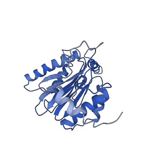 23575_7lxu_E_v1-1
Structure of Plasmodium falciparum 20S proteasome with bound MPI-5