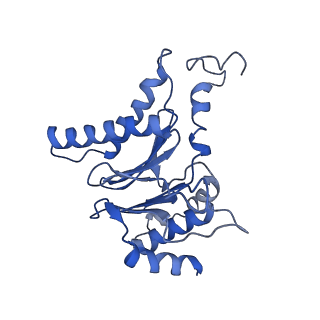 23575_7lxu_F_v1-1
Structure of Plasmodium falciparum 20S proteasome with bound MPI-5