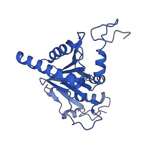 23575_7lxu_G_v1-1
Structure of Plasmodium falciparum 20S proteasome with bound MPI-5