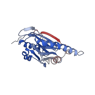 23575_7lxu_H_v1-1
Structure of Plasmodium falciparum 20S proteasome with bound MPI-5