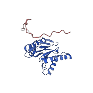 23575_7lxu_I_v1-1
Structure of Plasmodium falciparum 20S proteasome with bound MPI-5
