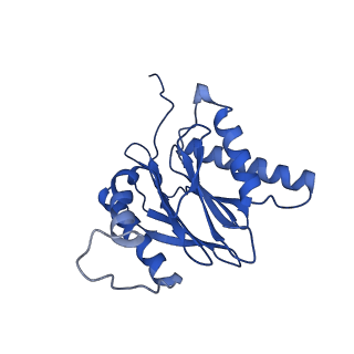 23575_7lxu_M_v1-1
Structure of Plasmodium falciparum 20S proteasome with bound MPI-5