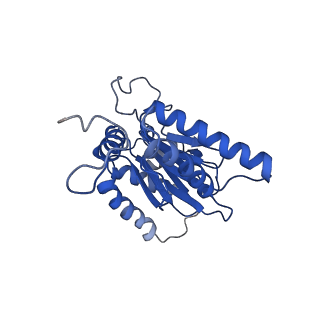 23575_7lxu_O_v1-1
Structure of Plasmodium falciparum 20S proteasome with bound MPI-5