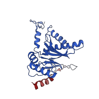 23575_7lxu_Q_v1-1
Structure of Plasmodium falciparum 20S proteasome with bound MPI-5