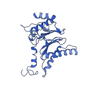 23575_7lxu_T_v1-1
Structure of Plasmodium falciparum 20S proteasome with bound MPI-5