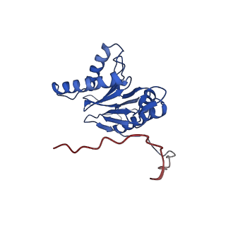 23575_7lxu_W_v1-1
Structure of Plasmodium falciparum 20S proteasome with bound MPI-5