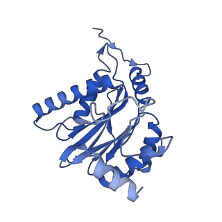 23576_7lxv_A_v1-1
Structure of human 20S proteasome with bound MPI-5