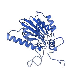 23576_7lxv_D_v1-1
Structure of human 20S proteasome with bound MPI-5