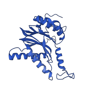 23576_7lxv_E_v1-1
Structure of human 20S proteasome with bound MPI-5