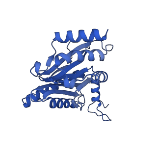 23576_7lxv_F_v1-1
Structure of human 20S proteasome with bound MPI-5
